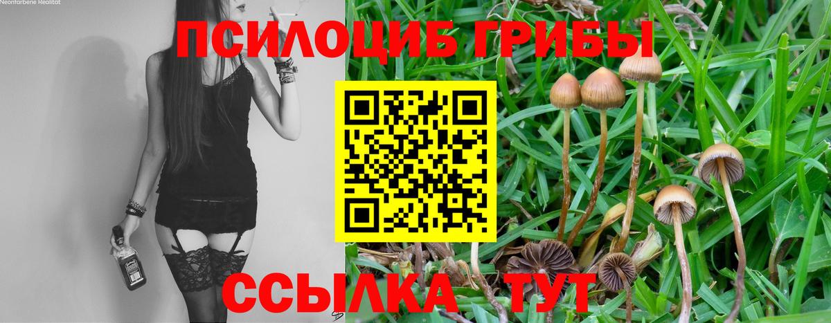 Галлюциногенные грибы Magic Shrooms Прохладный